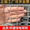 Foreign trade cross-border export welded wire mesh, hot-dip galvanized steel wire mesh, hot-dip galvanized welded wire mesh, construction wall plastering mesh manufacturer details Picture